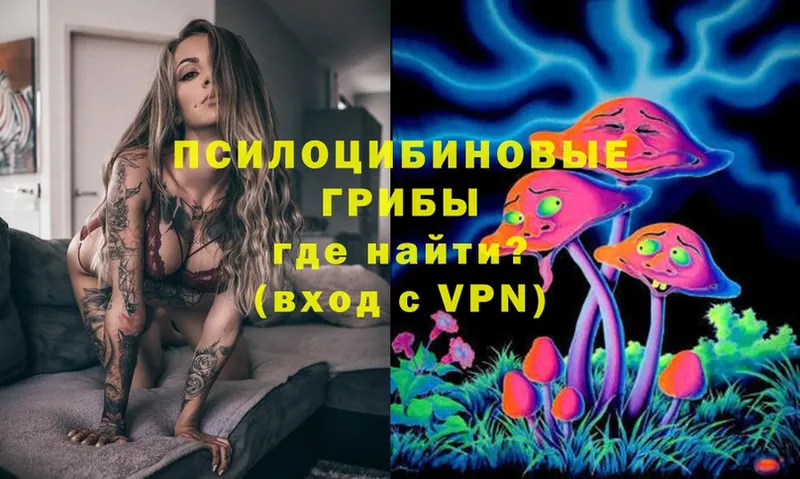 Галлюциногенные грибы Magic Shrooms Кириллов